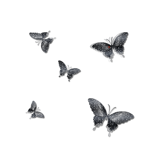 Клипарт бабочки на прозрачном фоне