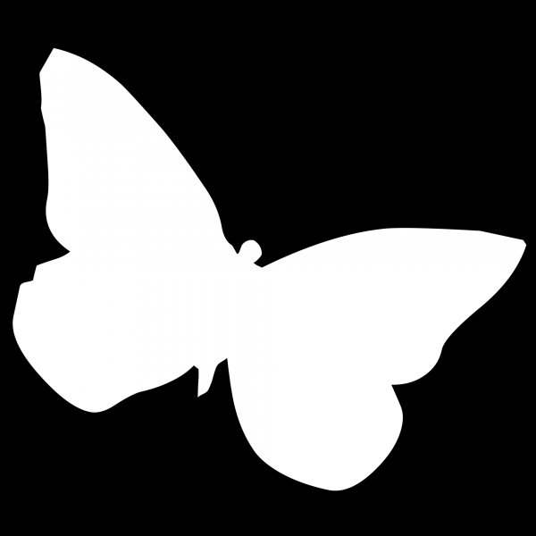 Бабочка черно белая