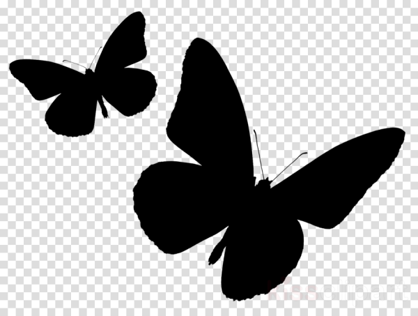 Черный силуэт бабочки
