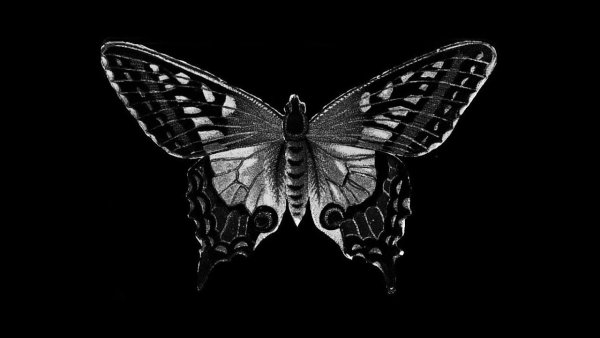 Чёрные бабочки на сером фоне