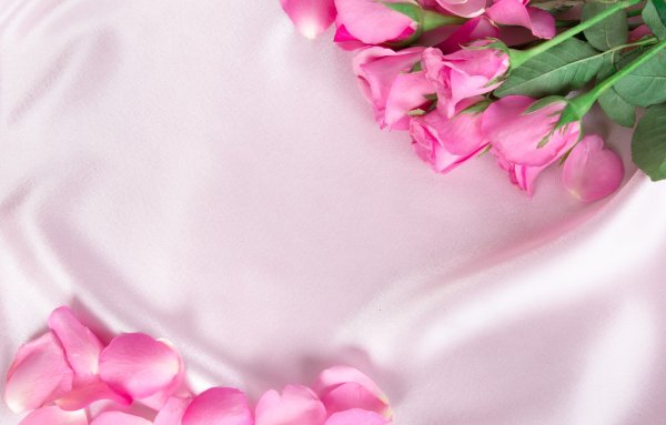 Розовые цветы на белом шелке