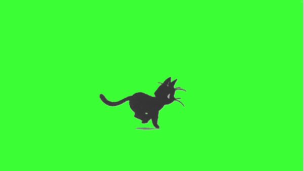Сидящий кот на зеленом фоне