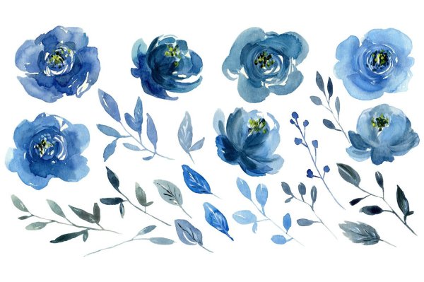 Синие цветы акварель