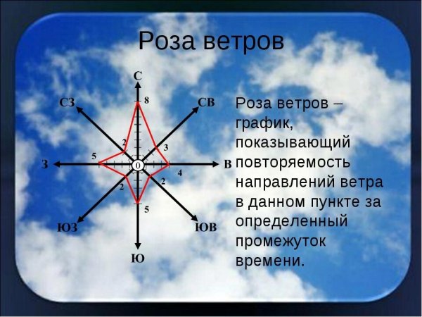 Роза ветров метеорология