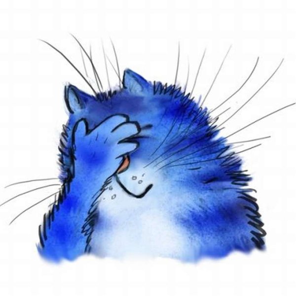 Синий кот на белом фоне