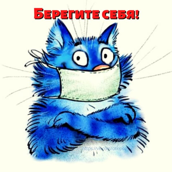 Синие коты Ирины Зенюк Стикеры