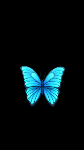 Синия бабочка на черном фоне
