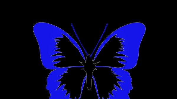 Аватар бабочка