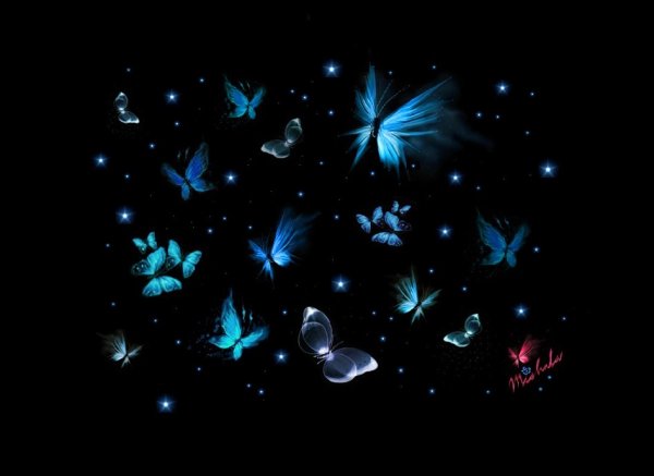 Волшебные бабочки на черном фоне
