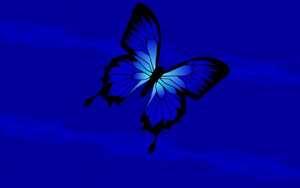 Бабочки на голубом фоне