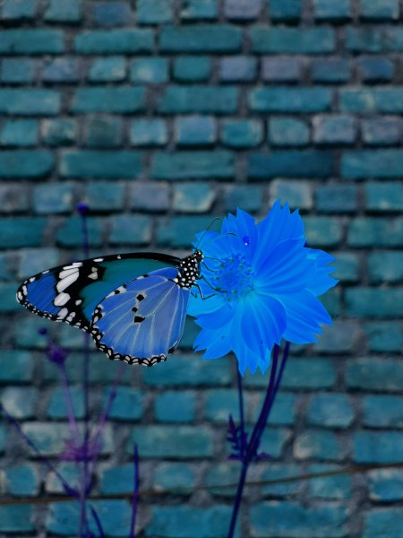 Синяя бабочка на зеленом фоне