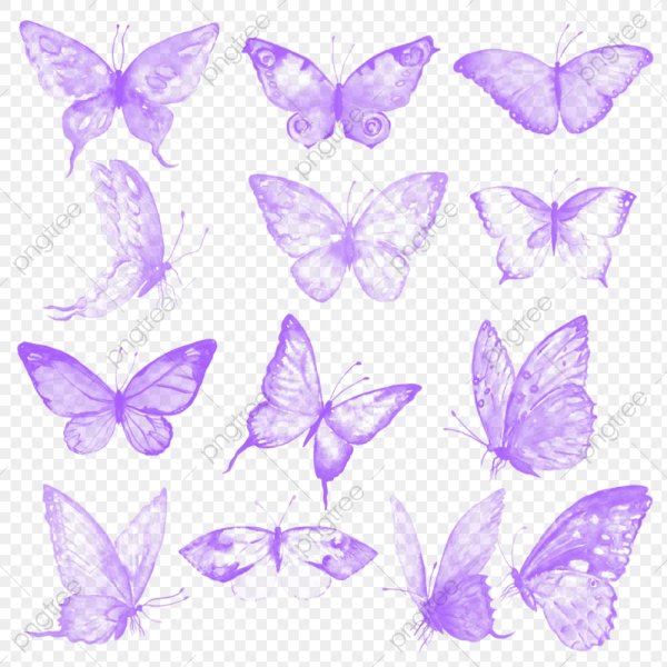 Бабочки сиреневые на белом фоне для печати