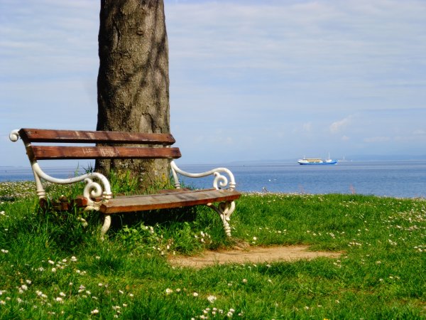 Скамейка на берегу