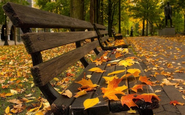 Осень скамейка