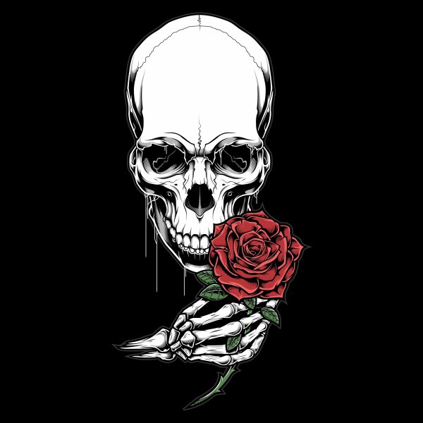 Скелет на черном фоне с розой
