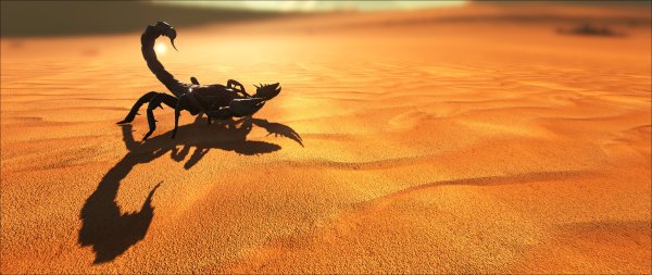 Пустынный Скорпион