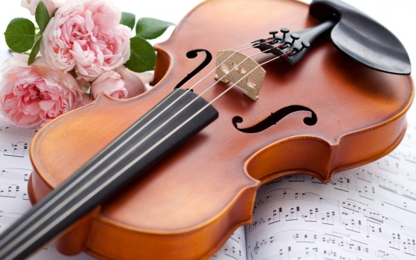 Скрипка на красивом фоне