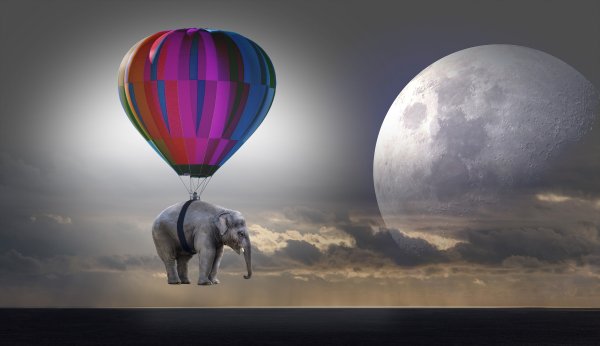 Слон на воздушном шаре