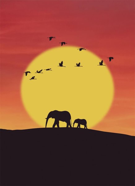 Силуэт слона на закате