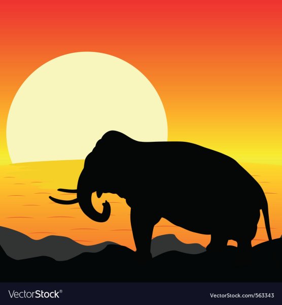 Трафареты слонов на закате