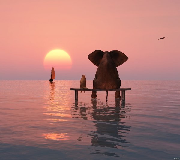 Слоны на берегу моря