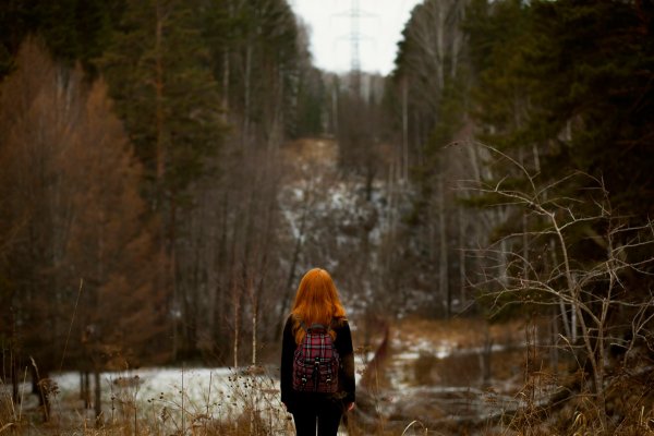 Рыжая девушка в лесу со спины