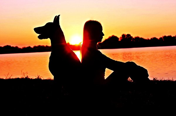 Человек с собакой на закате