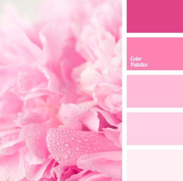 Сочетание цветов на розовом фоне