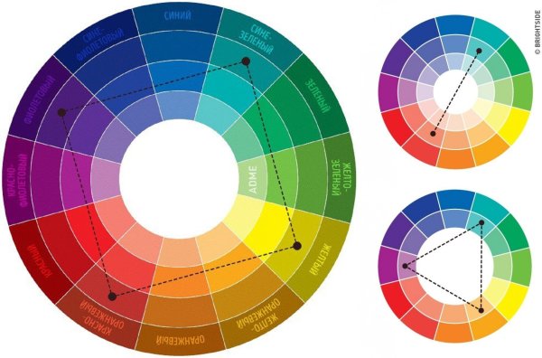 Цветовой круг Иттена цветовые сочетания в одежде