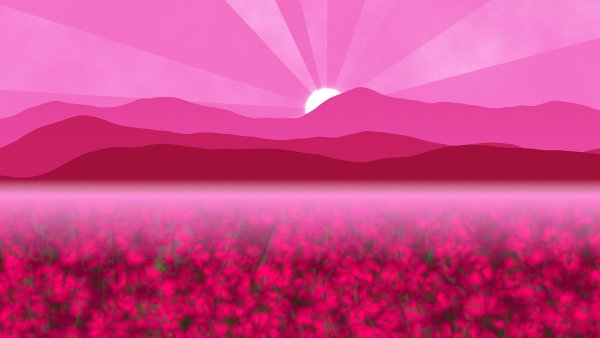 Розовое солнце