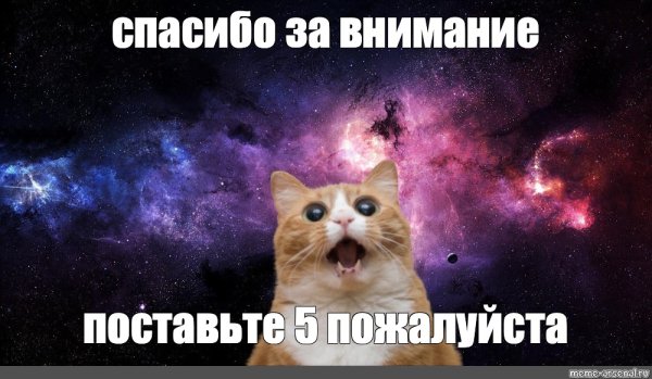 Спасибо за внимание кот в космосе