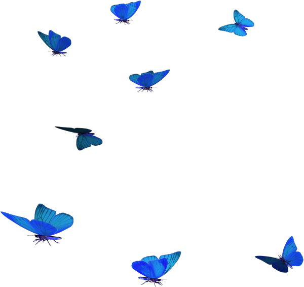 Бабочки птицы на прозрачном фоне