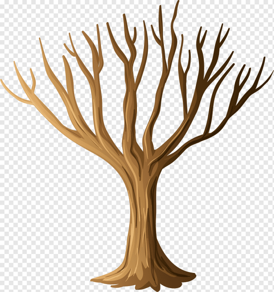 Ветка дерева