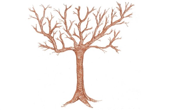 Дерево без листочков
