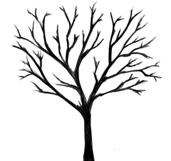 Дерево для аппликации без листьев