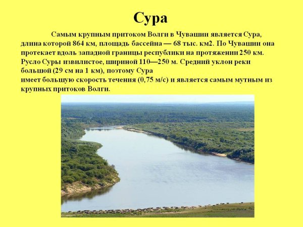 Водные богатства Чувашии река Волга