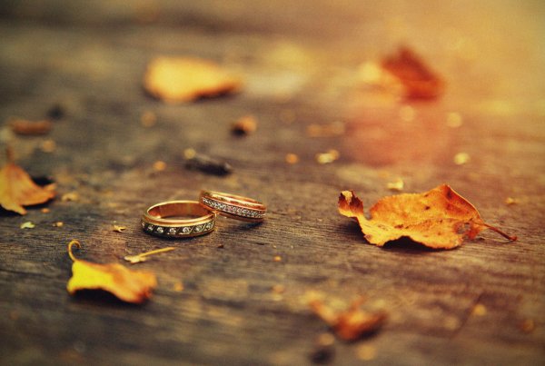 Осенняя свадьба кольца
