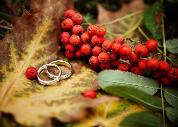 Обручальные кольца осень
