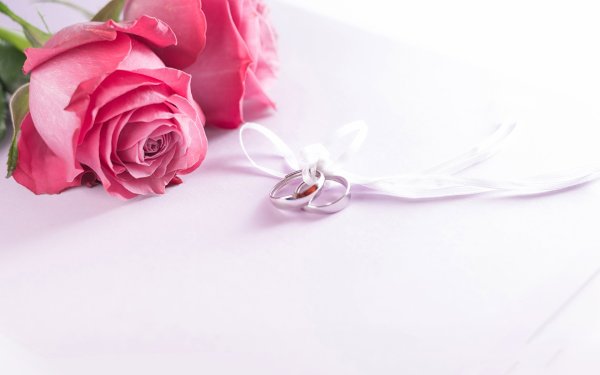 Свадебный фон с розами и кольцами
