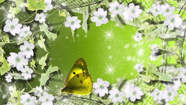 Светло зеленый фон с бабочками