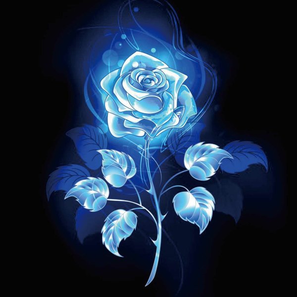 Синяя роза