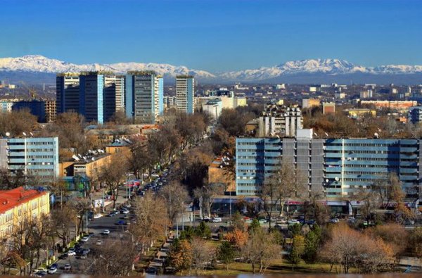 Вид гор с Ташкента