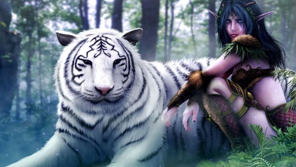 Тигр и девочка обои