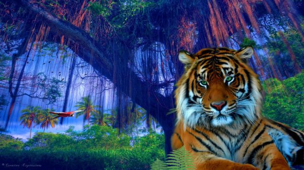 Тигр на фоне природы
