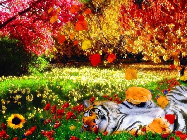 Тигр осень