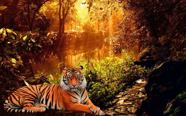 Осенний тигр