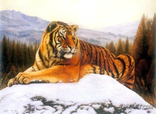 Картины с тиграми на природе