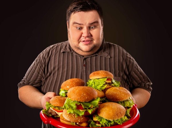 Толстый человек ест гамбургер