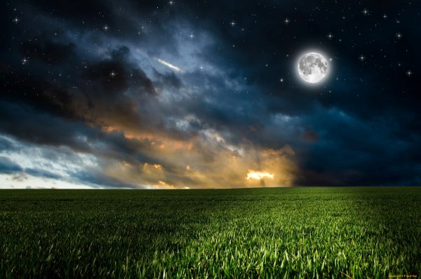 Трава и небо ночью фон