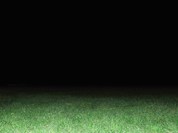 Трава в темноте